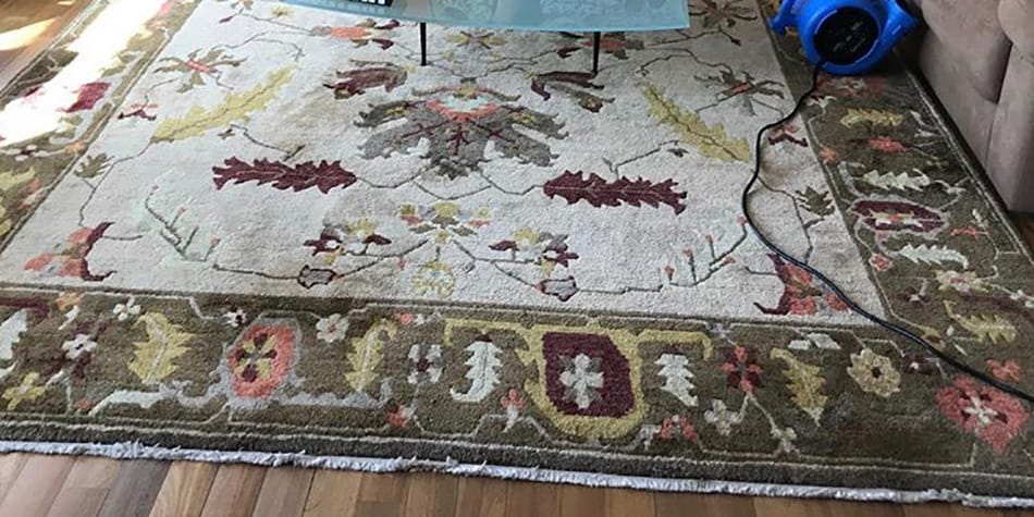 NYC Rug Cleaning Experts
